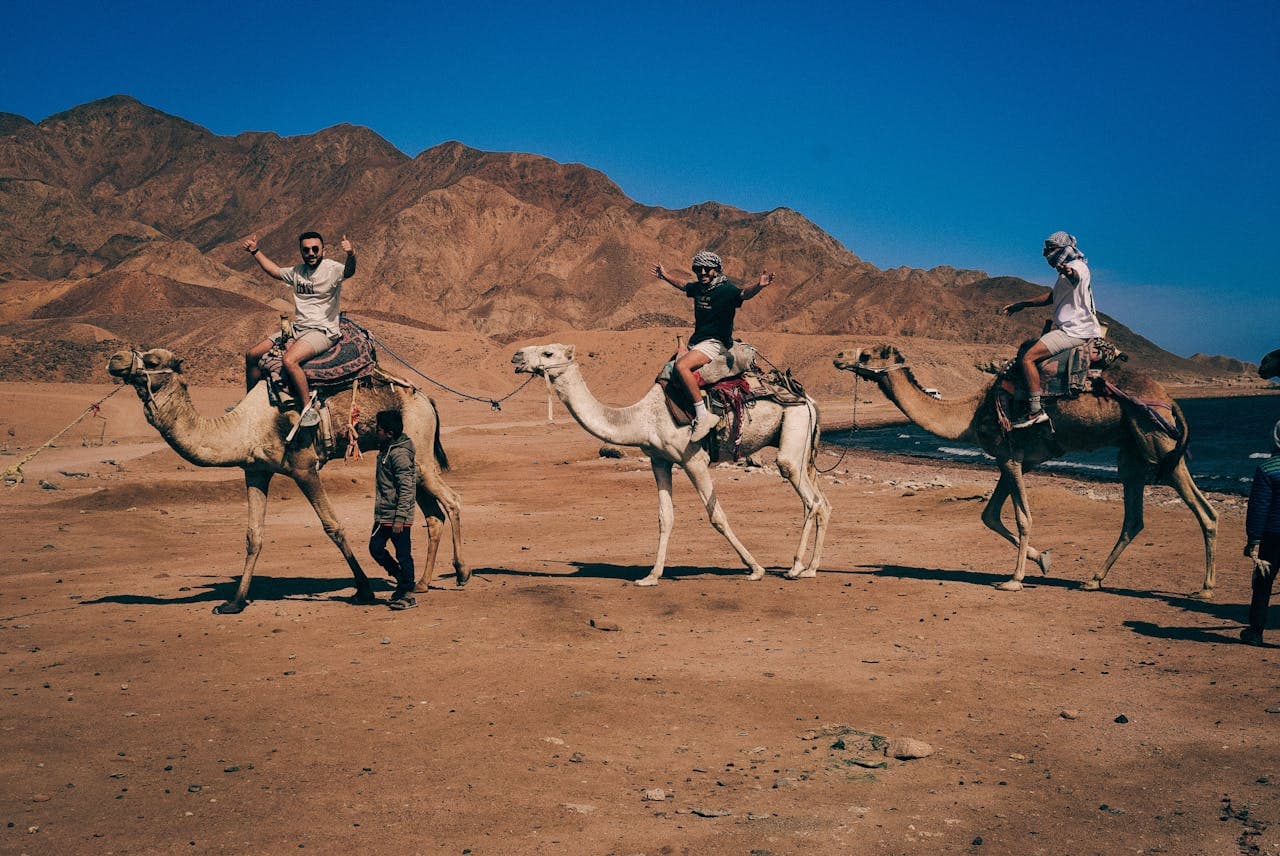 Red Sea destination gallery image 4